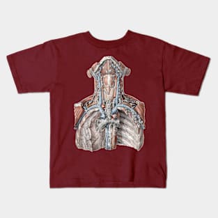 Vintage Science, Human Anatomy with the Throat, Neck, Chest and Ribs Kids T-Shirt